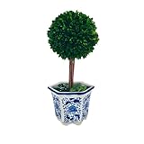 Galt International Preserved Boxwood Topiary Tree in Blue & White Ceramic Pot - Plant and Table Centerpiece Stunning Greenery and Plant Decor for Home 5.9