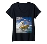 Coton de Tulear Dog - Coton de Tulear