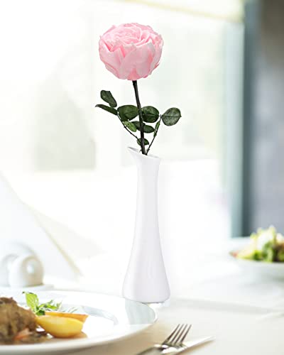 Image of Pink Flowers for Delivery Prime, Preserved Pink Roses Flower Gifts for Women, Real Roses Single Rose Gifts for Her, Mom Birthday Gifts from Daughter, Valentines Flowers