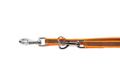 IDC Color & Gray verstellbare Leine mit Doppelkarabiner, 20 mm x 2,2 m, Orange-Grau