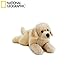 Venturelli 742165 Peluche Perro Labrador Horace 40 cm