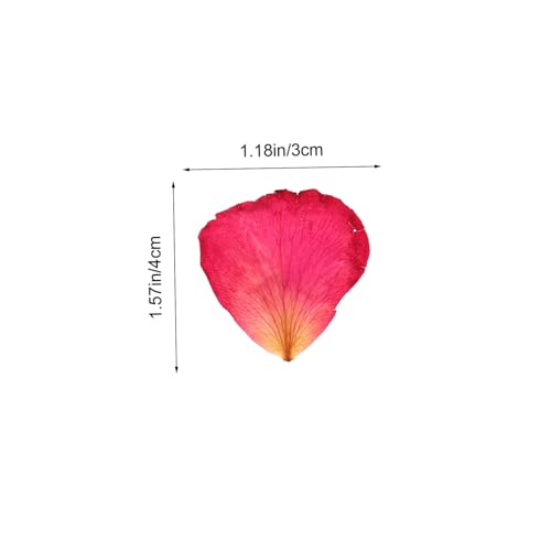 Pétalos de rosa secos naturales 250g para manualidades miniatura 2