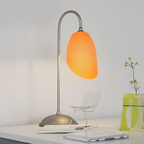 Image of Holibanna Plastic Lampshade for Floor Lamps Ceiling Fan Shade Modern Decorative Table Lamp Cover