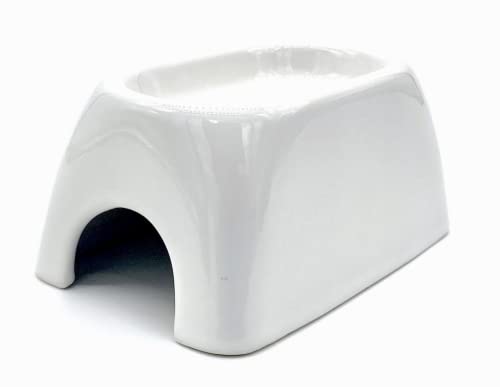 爬虫類 シェルター」の人気商品一覧 | 安い商品を通販サイトから探す