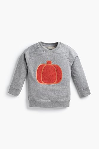MONICA + ANDY Embroidered Crewneck Sweatshirt Size 6-9 Months Pumpkin Pie Slice 100% Organic Cotton Clothes for Girls & Boys Sustainable Super Soft Fabric Sizes for Kids Toddler & Infant