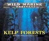 Wild Marine Habitats - Kelp Forests