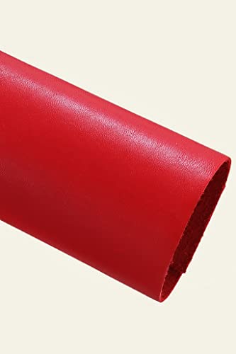 LA GARZARARA Pieza de piel precortada de borla de color liso, color rojo, 25 x 20 cm, ASL26 Cover