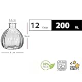 Zoom IMG-1 casavetro 6 o 12 piccoli Zoom IMG-1 casavetro 6 o 12 piccoli