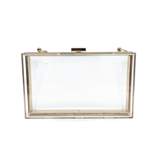 zaoalife Bolsos de mano acrílicos transparentes, bolsa cruzada para banquetes, bolsa de playa cuadrada, bolsa de hombro portátil, bolsa de cosméticos brillante para mujer, Claro