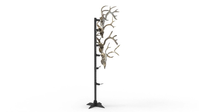 蝦夷鹿hunting trophy（deer skull） 蝦夷鹿hunting trophy