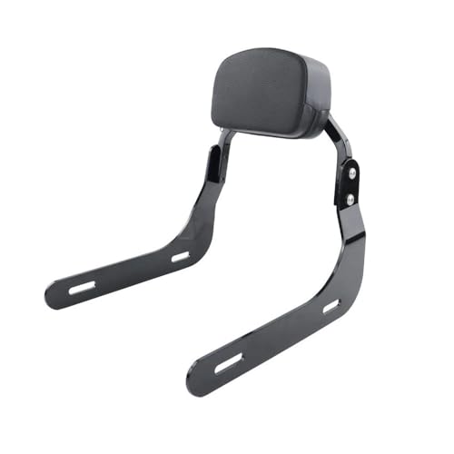 Coussin de dossier passager moto pour BMW R18 Classic B 100 Ans 2020up