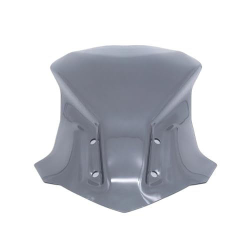 Pare-brise G310GS anti turbulence bulle de remplacement moto