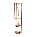 FENLO Fancy Display Shelves with LED, 3-in-1 Dimmable Floor Lamp with Shelves, Modern Display Shelf...