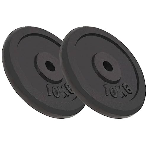 vidaXL 2X Hantelscheiben Gewichtsscheiben Hantel Gewichte Scheiben...
