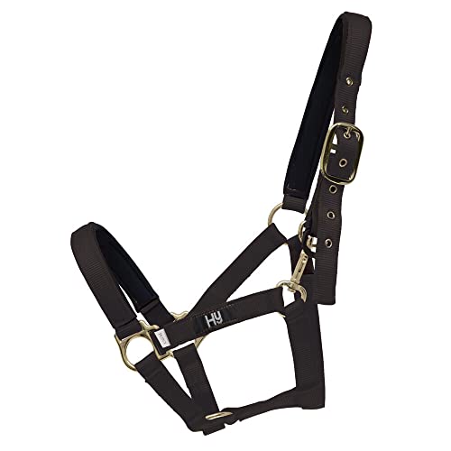 Hy Fieldsafe Headcollar - Black - Cob - Horse Equestrian Halters & Headcollars