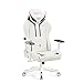 Diablo X-Ray Gaming Chaise Fauteuil Gamer Accoudoirs 4D...
