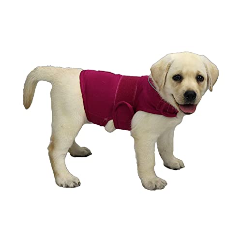 Cattamao Comfort Dog Anxiety Relief Coat, Dog Anxiety Calming Vest Wrap For Thunderstorm,Travel,4Th Of July Fireworks,Vet Visits,Separation Anxiety Relief For Dogs (S, Rose) #TOP7