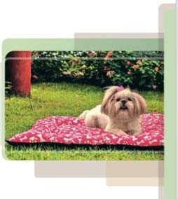 Colchonete Pet Para Cães e Gatos Acãochego Tamanho G - Preto De Ossinho E Patinha