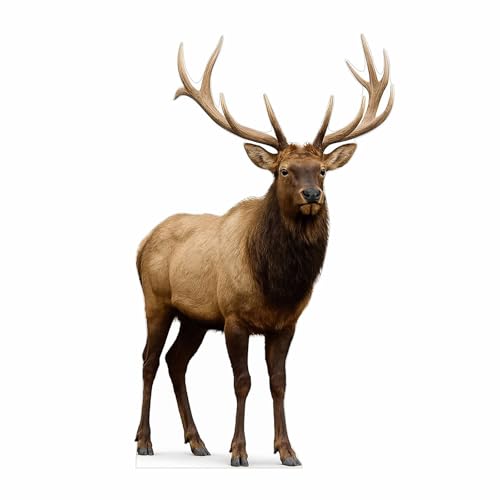 Image of Elk 2FT Life Size Cardboard Cutout - A Fun Animal Standup for Photo Booths, Birthday Parties, and Events