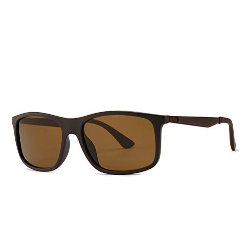 Preisvergleich Produktbild WEN Polarisierte Sonnenbrille TR Aviator Sonnenbrille polarisierte Sonnenbrille RB3017 Außenhandel (Color : C2)