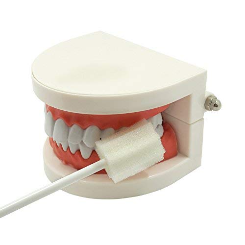Miniatura 3 de Hisopos orales desechables, sin tratar y sin sabor, esponja de limpieza oral, cepillos de dientes, color blanco, 100 unidades