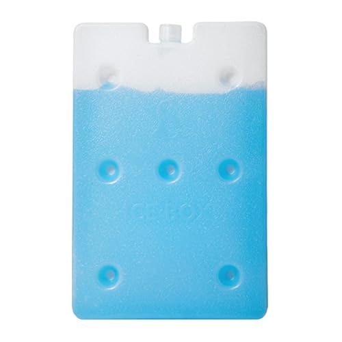 Blocs d'isolation pour glacière réutilisables et portables pour le camping