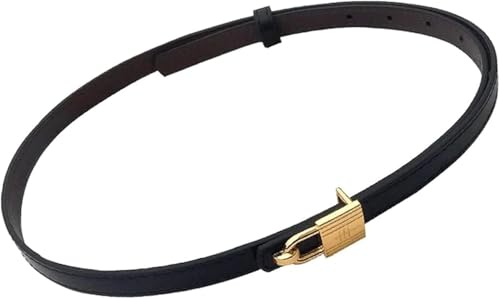 Waist Belt Women's Waist Belts Youth French Pin Buckle Elegant Leather Belts Dress Ladies Belt Decoration Versatile