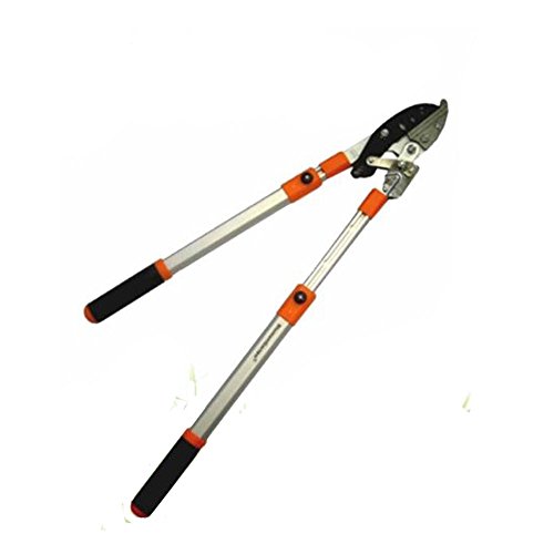 Tagliarami Cesoia Tagliasiepe PROFESSIONALE Manici Alluminio Telescopici