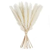 【Tamaño y Empaque】 Contiene 30 flores secas, el tamaño es de aproximadamente 45 cm, para satisfacer sus necesidades diarias.