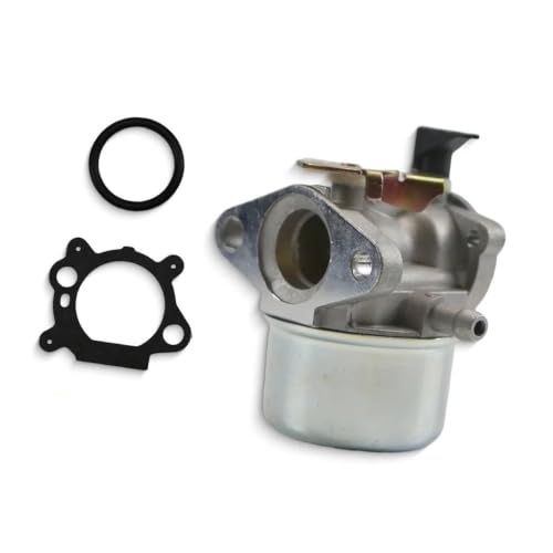 Carburateur tondeuse à gazon moteur BP17D-1 498965 494216 493422