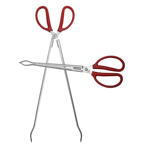 Beavorty 2EiMNbv }bhtBbVNv S~O  Abvc[ nT~O Ȃv g E |H O |p sNjbN Lv 