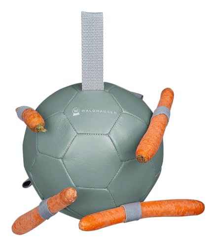 WALDHAUSEN Karottenball, grün