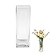 ASSRECT Blumenvase Glas 30cm Quadratische Glasvase Hohe Vase für Tischdeko Klarglasvase Moderne Dekorative Vasen für Home Office Hochzeit Dekor Geschenk Hochzeit günstig Kaufen-ASSRECT Blumenvase Glas 30cm Quadratische Glasvase Hohe Vase für Tischdeko Klarglasvase Moderne Dekorative Vasen für Home Office Hochzeit Dekor Geschenk