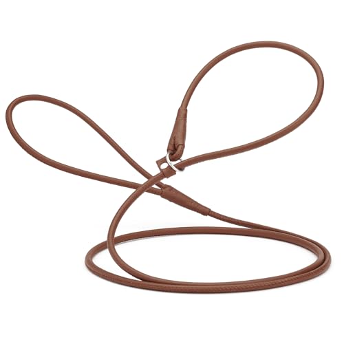 Dogline Rolled Leather Dog Slip Lead - for Small, Medium and Large Breeds - Soft and Padded Lead...