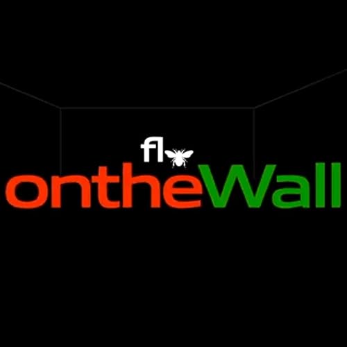 Fly On The Wall cover art