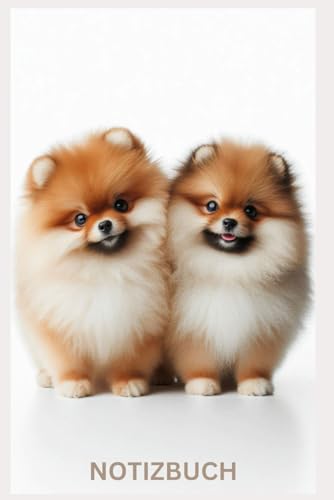 Süßes Pomeranian BOO, Zwergspitz Buch - Notizbuch: Geschenk für Spitz Liebhaber, Welpen Besitzer & Fans: Tagebuch, Taschennotizbuch, Planer, Pom ... Ausstattung, Mom, Dad, Cute Dog,Sable