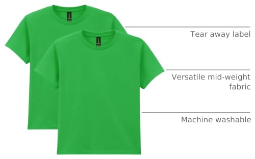 Image of Gildan Unisex-Child Gildan Youth Heavy Cotton T-Shirt, Style G5000b, 2-Pack