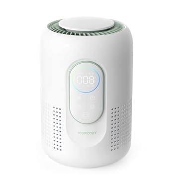 best air purifier for baby room