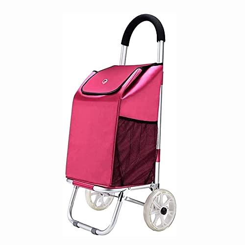 COUYY Einkaufstrolley, leicht und robust, zusammenklappbar, mit 2 Rädern, Einkaufstrolley