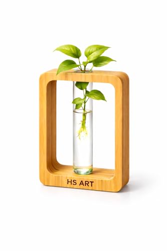 HS Art Table Flower Vase/Propagation/Decor Plant Holder Dining Ta...