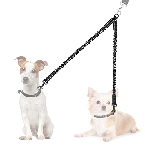 10 Best Dog Lead Bungee Extension June 2023
