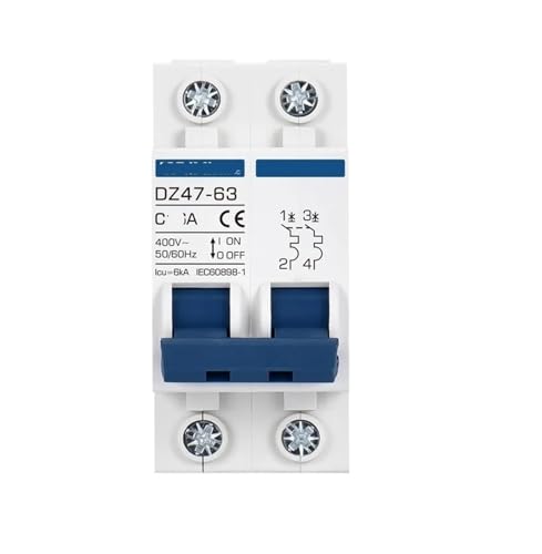 Disyuntor en miniatura DZ47 220V 2P 10A interruptor de aire magnetotérmico residencial automático