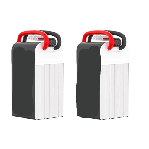 Batterie 6S 1480mAh 150C XT60 pour drones FPV R5 D5 N5 (Lot de 2)