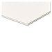 Elmer's 900803 Foam Board, White Surface with White Core, 30 x40, 10 Boards/Carton