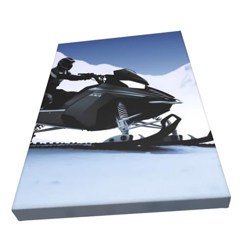 Toile murale abstraite de prestige RLDOBOFE art motoneige chic - 2