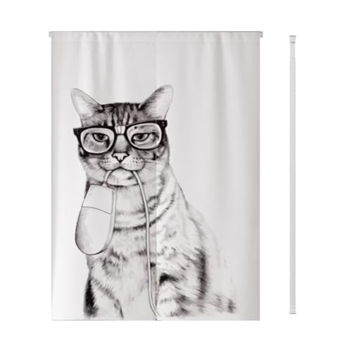 HIMENO ̂  ˂_t g O Ռ ډB ̂ Ȗ k Vv m Ԏd؂J[e |GXe Ԃ̂  䏊 ʏ o Kip d؂ CeA X L  Lb` rO 