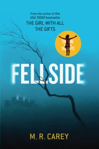 Fellside view 2