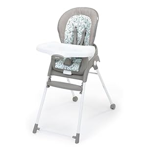 Ingenuity Baby High Chair