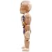 TOYMYTOY Cuerpo Humano Modelo de Juguete de Plástico para Niños Muñeca de Anatomía de 3D Desmontable Juguete de Montaje para Niños Juguetes Educativos Temprano Regalos (Coloridos)