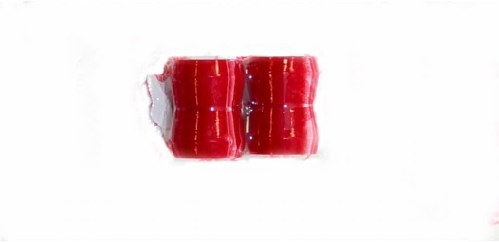 Rancho Suspensions Shock Bushings Kit EB1